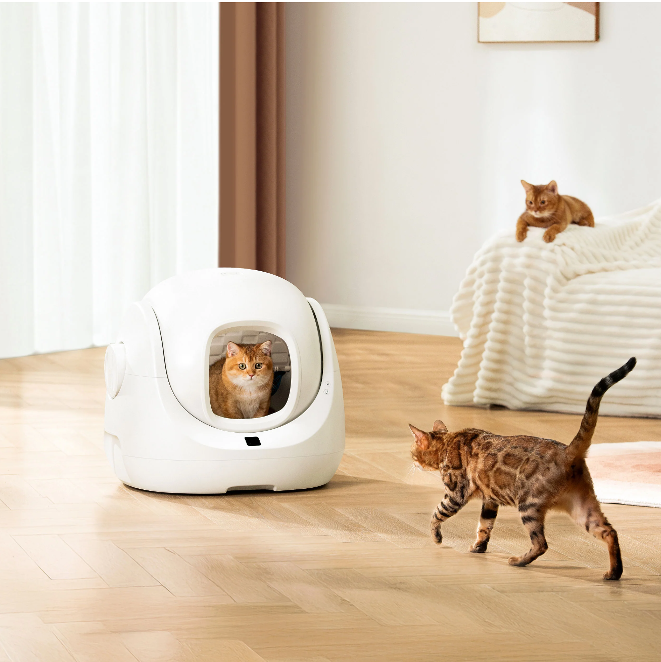 Smart Litter Box - Scooper SE