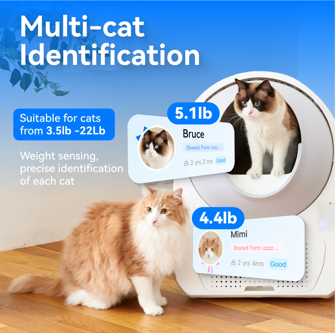 Self Cleaning Litter Box - Scooper Luxury Pro-X