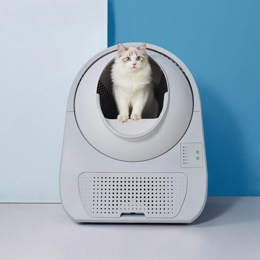 Self Cleaning Litter Box - Scooper Young Pro-X